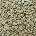 Fresh Green Coffee Beans 200g