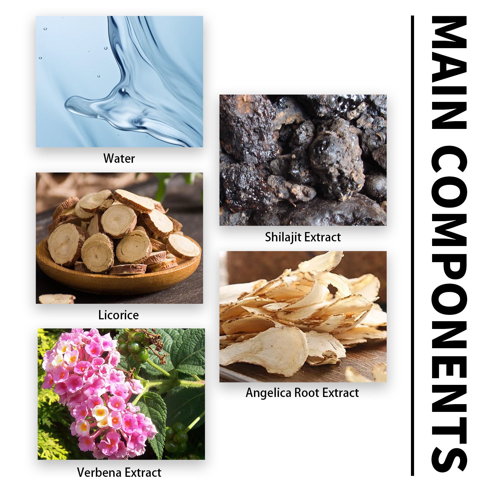 Googeer Purest Himalayan Shilajit Resin 100% Pure 600mg Maximum Natural Organic Resin with 85+ Trace Minerals & Fulvic Acid for Energy , Immune Support