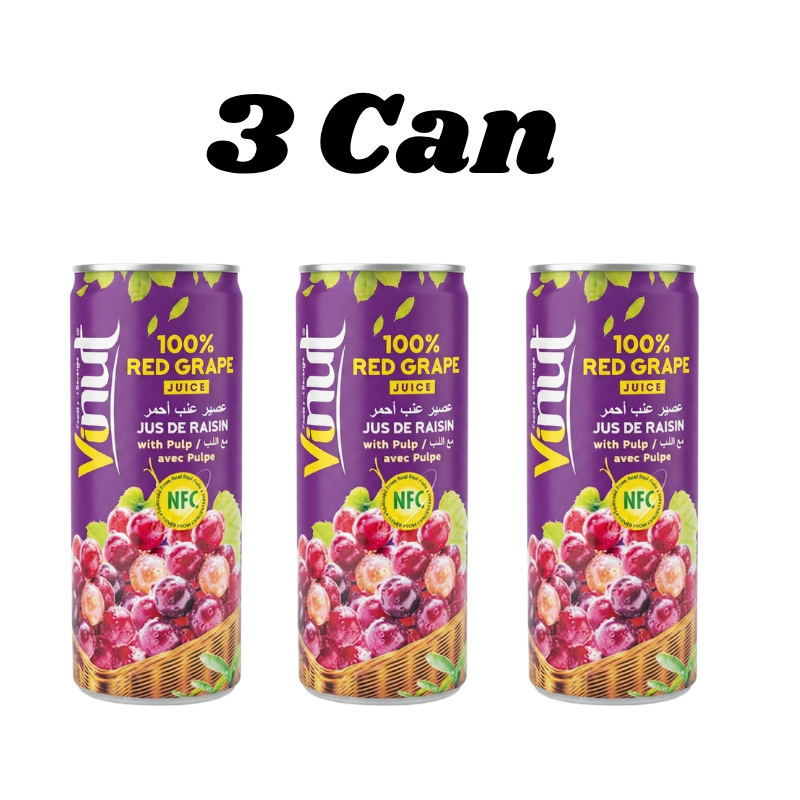 Vinut Mango Juice With Pulp 230ml
