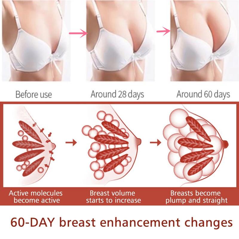 Bio Active Breast Enlargement Cream - Beasymart
