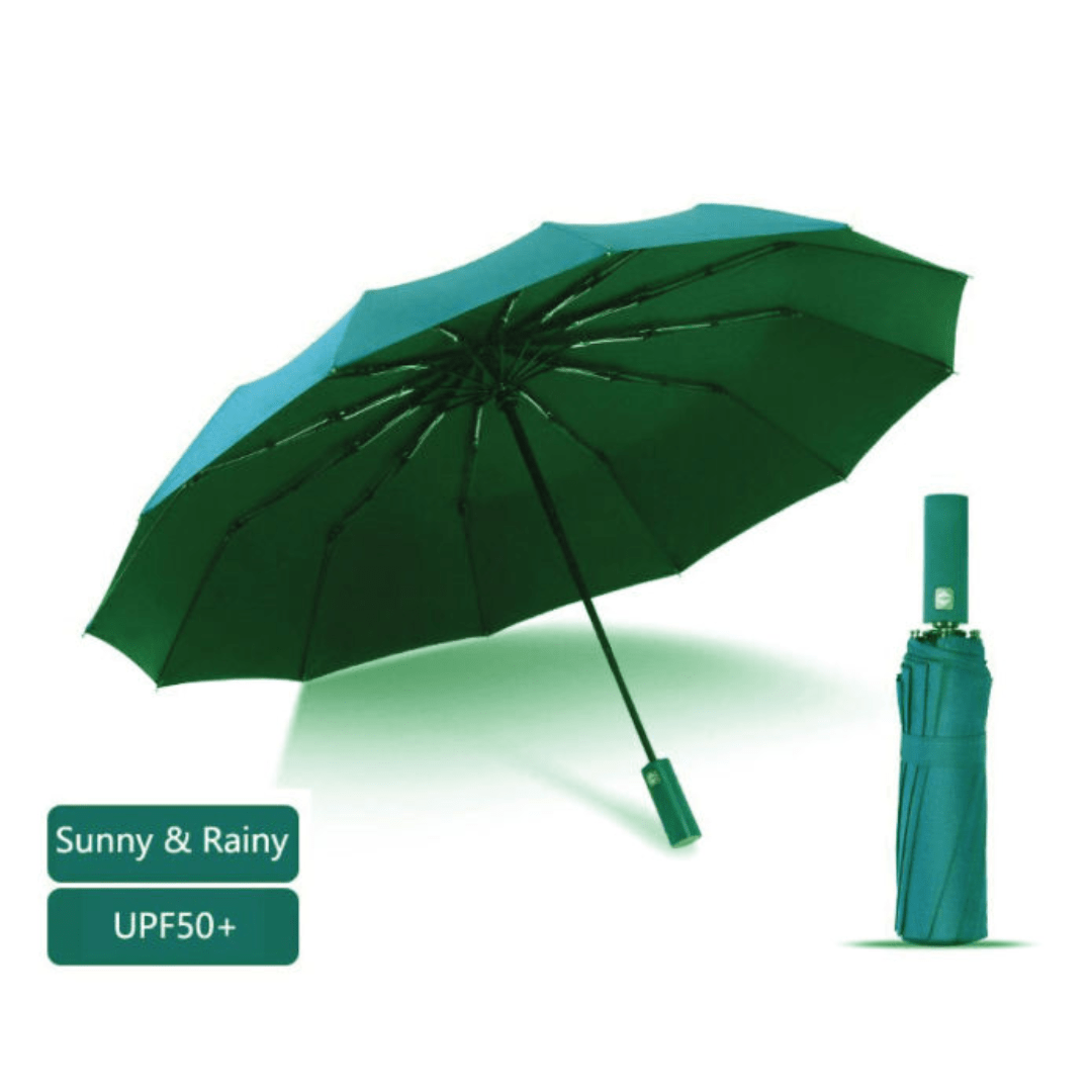 BMW 16 Ribs Umbrella Auto-Open/Close Wind Resistant - Beasymart