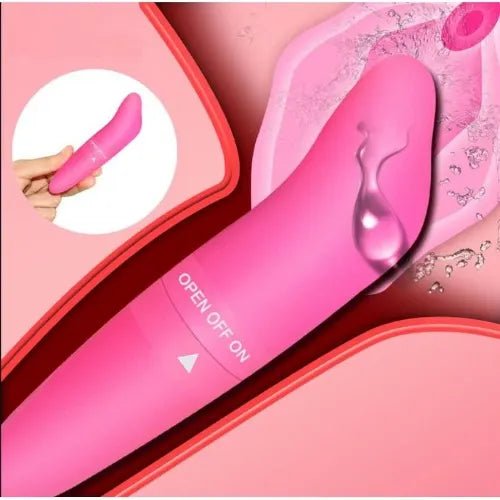 Dolphin G-Spot Massager Vibrator G Spot Vibrator For Women - Beasymart