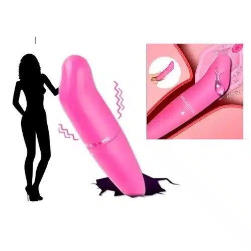 Dolphin G-Spot Massager Vibrator G Spot Vibrator For Women - Beasymart