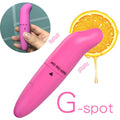 Dolphin G-Spot Massager Vibrator G Spot Vibrator For Women - Beasymart