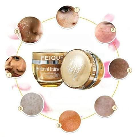 FEIQUE Herbal Extract Chinese Herbal Formula Whitening Anti-Freckle Set/ Anti-Melanin Anti-Freckle Whitening (2 in 1) Day & Night Cream (Made In China) - Beasymart