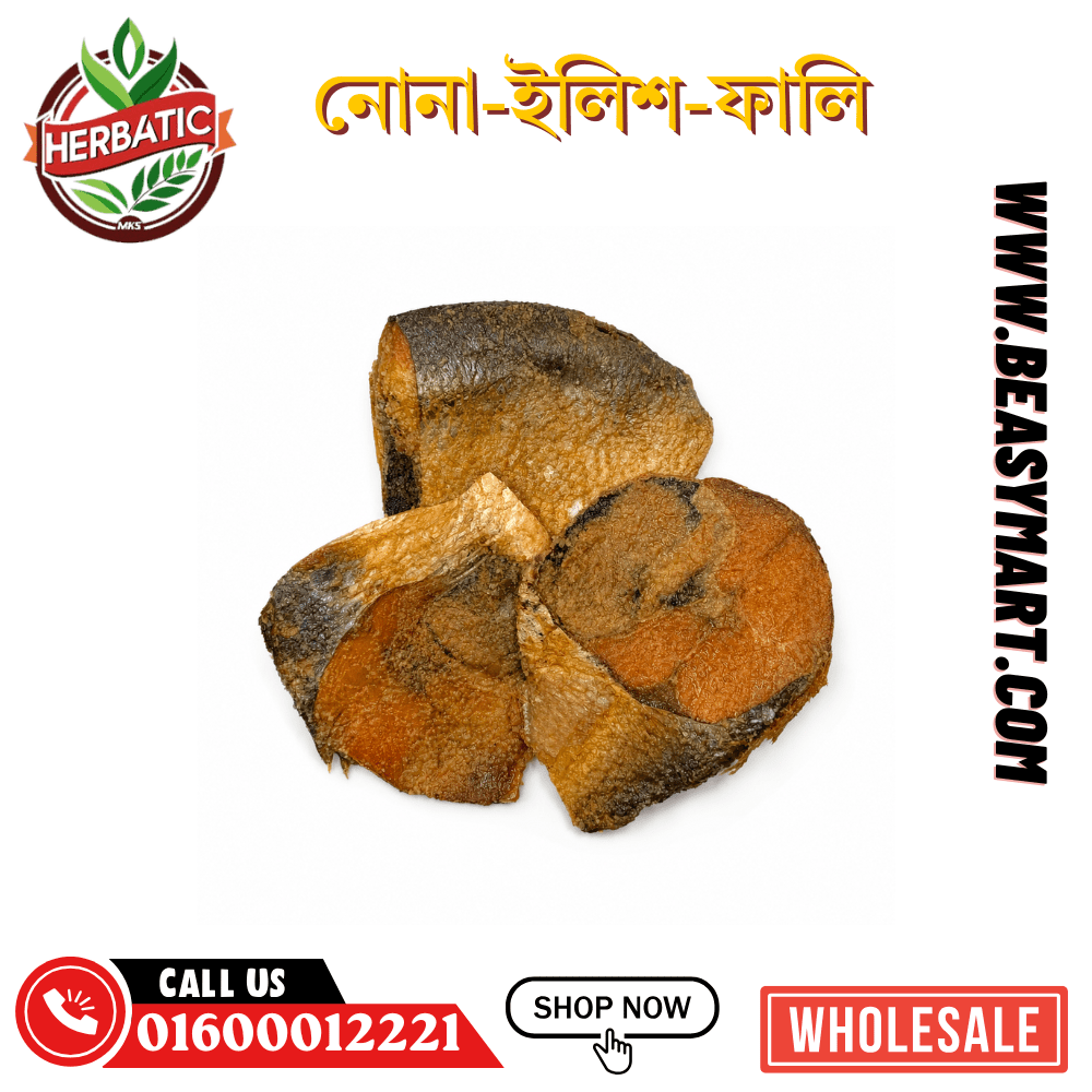 নোনা ইলিশ ফালি – অর্গানিক (Salted Hilsa Fillets Dry Fish Shutki) - Beasymart