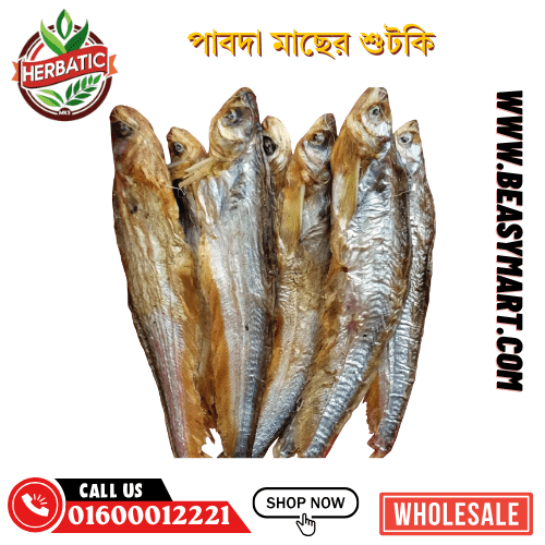 পাবদা মাছের শুটকি - অর্গানিক (Pabda Dry Fish Shutki) - Beasymart